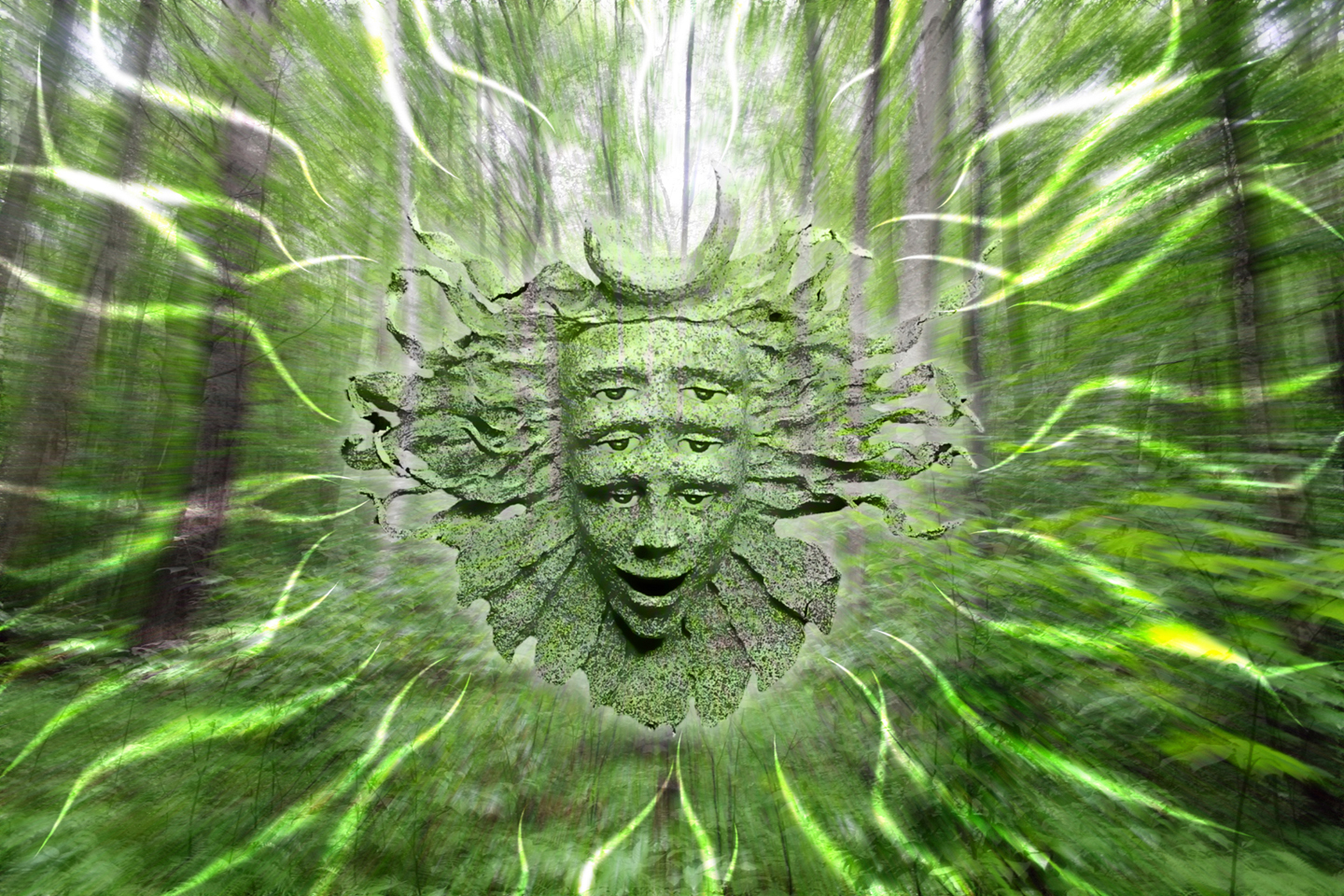 Shpongle_Woods_by_lokispace.jpg