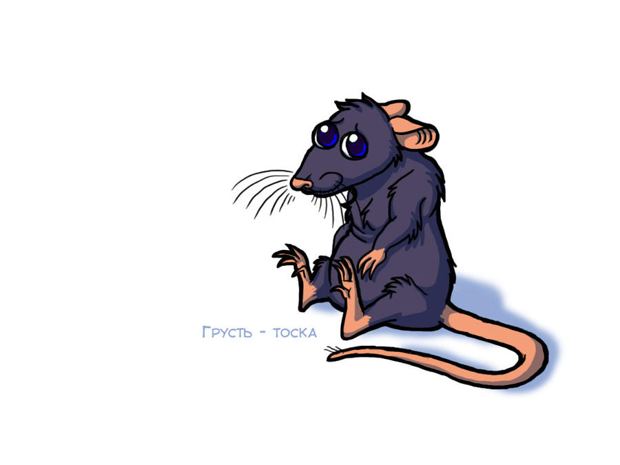 sad_rat_by_lisicac-d49wbry.jpg