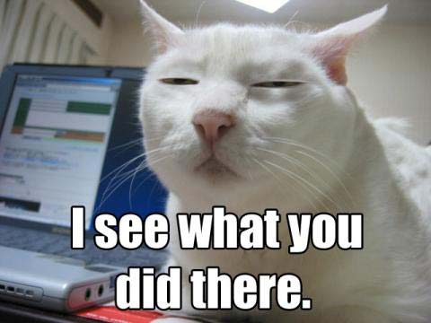 118_i-see-what-you-did-there_1c7d.jpg