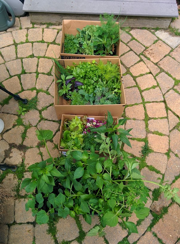 IHztU0ZYQ_EcwrzHZQrT5Cra89ME_ljyGiMNxEr_be8=w604-h816