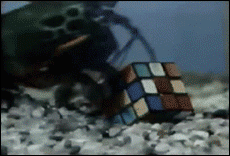 12520150256150.gif