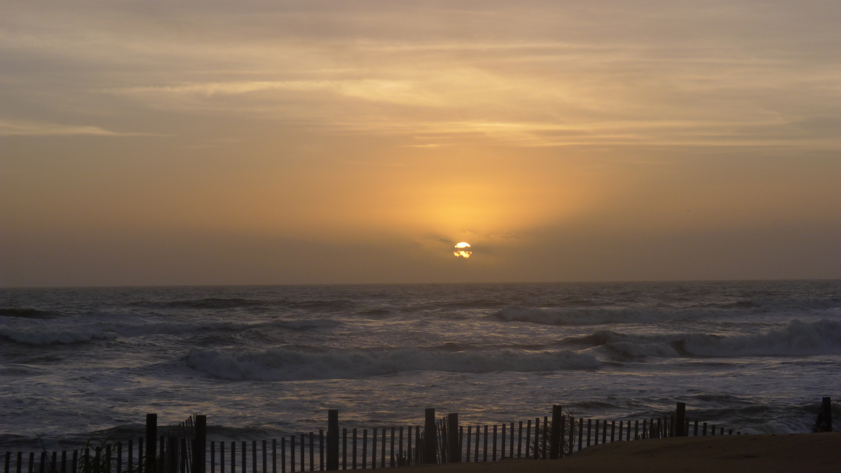 obx2015a.jpg
