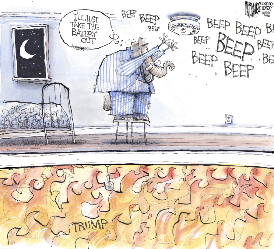 Matt Davies Comic Strip for January 24, 2020 