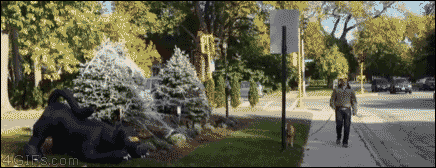 tumblr_njjkp2Vfdc1t0cscho1_500.gif