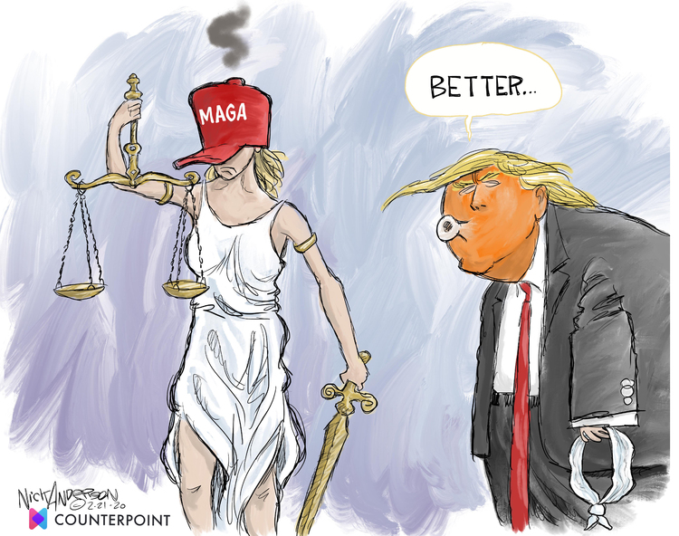 Nick Anderson Comic Strip for February 21, 2020 