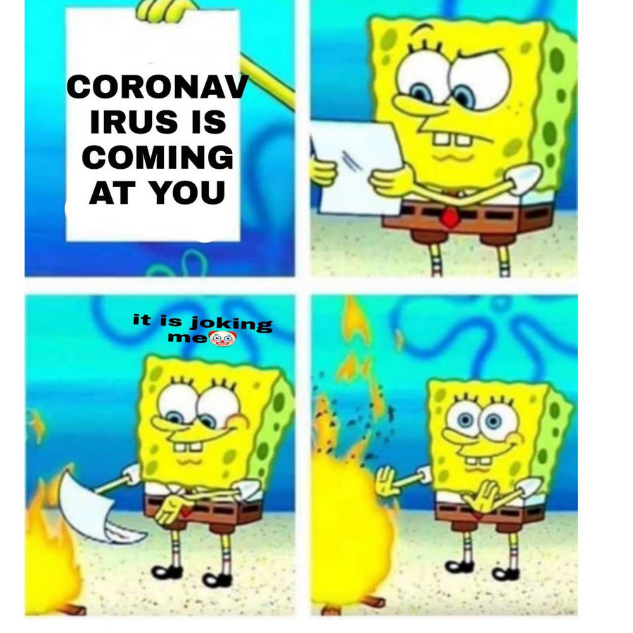 39392373.jpg