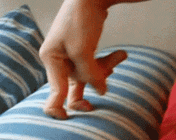 tumblr_njdl53JHvr1qixedeo1_400.gif