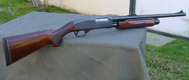 870_20.jpg
