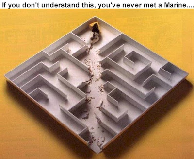 Marine%2BMouse.jpg