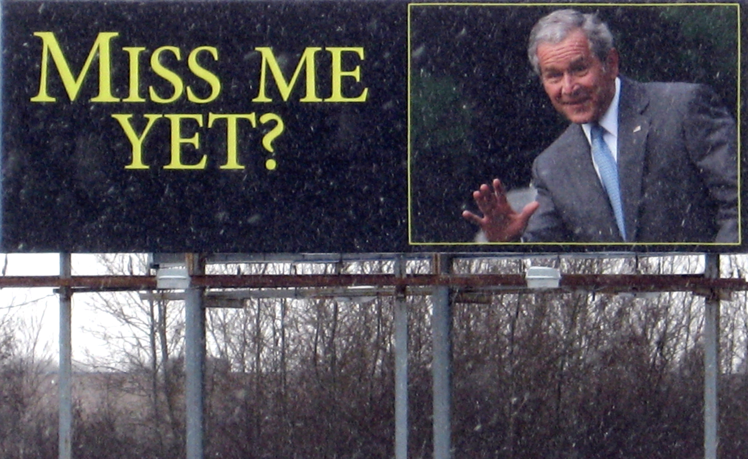 20100210_111743_bushbillboard.jpg