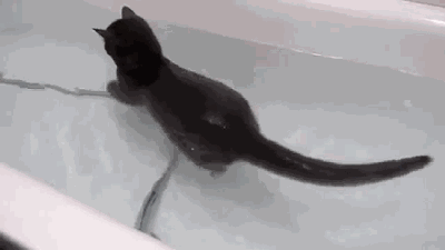 daily_gifdump_514_3654e_09.gif