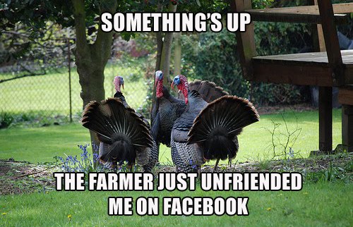 turkey_facebook_unfriended.jpg