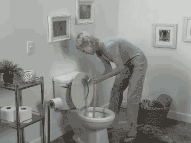 giphy.gif