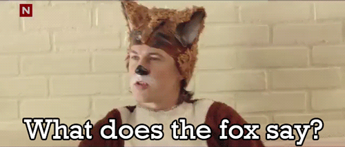 tumblr_mtjdzqDOfz1rinjyxo1_500.gif
