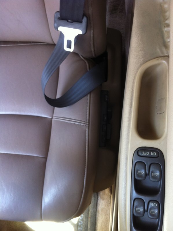 seatbelt.jpg