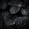 victoriya.bandcamp.com