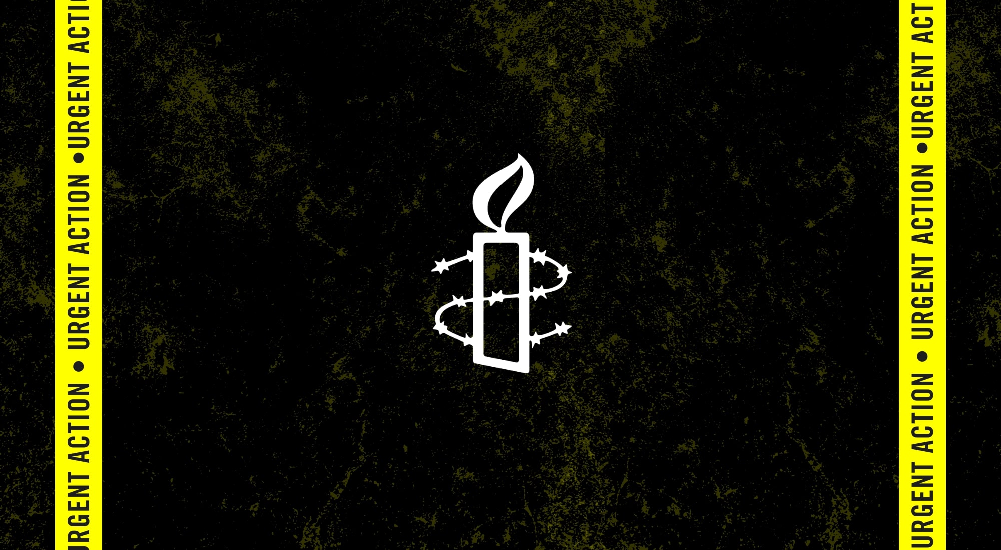 amnesty.ca