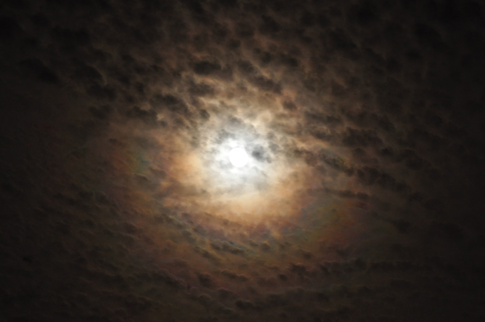moonrings01.jpg