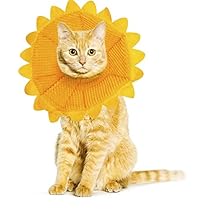 41zVPZhMOmL._SS210_.jpg