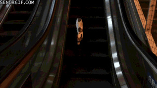 daily_gifdump_680_28.gif