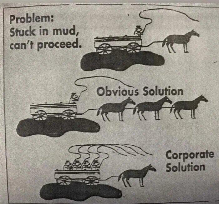 oa72t0hvp4x81.jpg