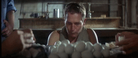 eggs.gif