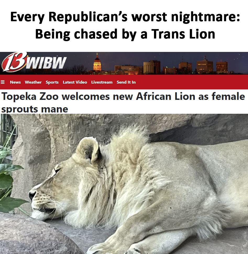 ah2b0v5gdvta1.jpg