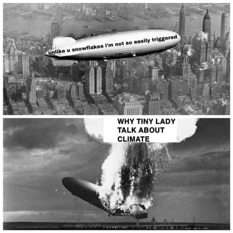 lt78yeaprxo31.jpg
