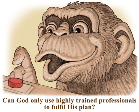 The-Monkey-2.jpg
