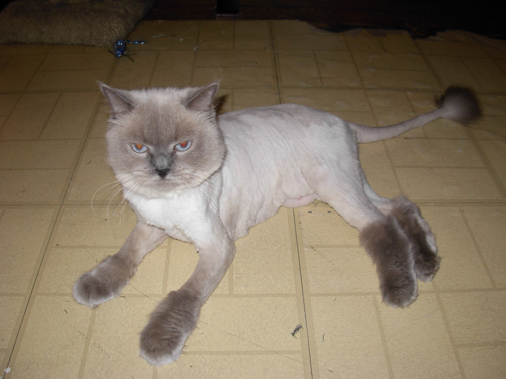 nettie045.jpg