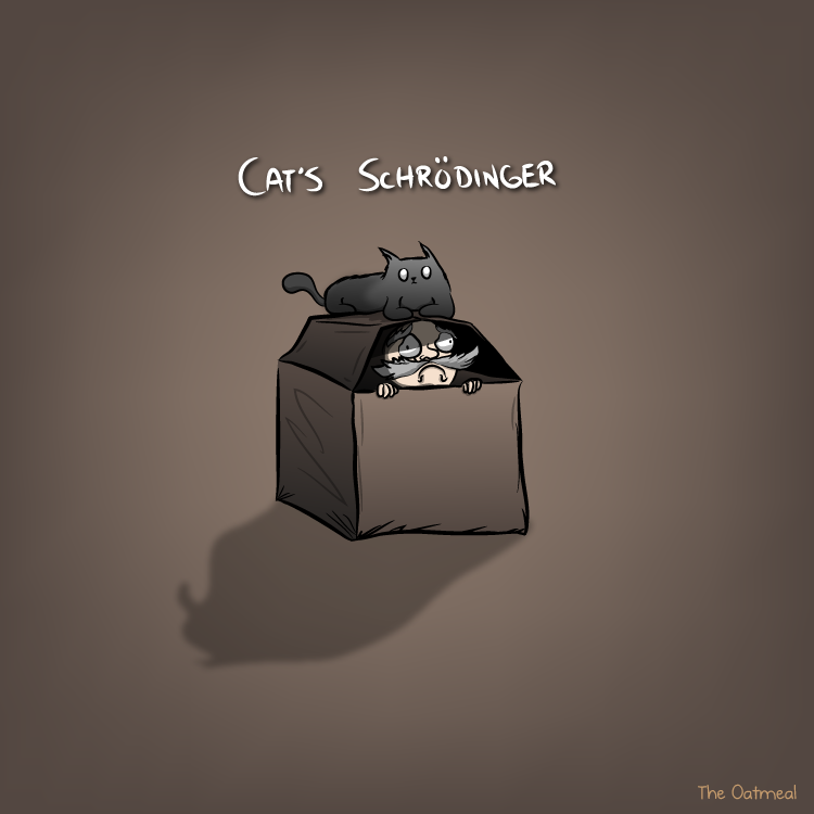 cats_schrodinger.png