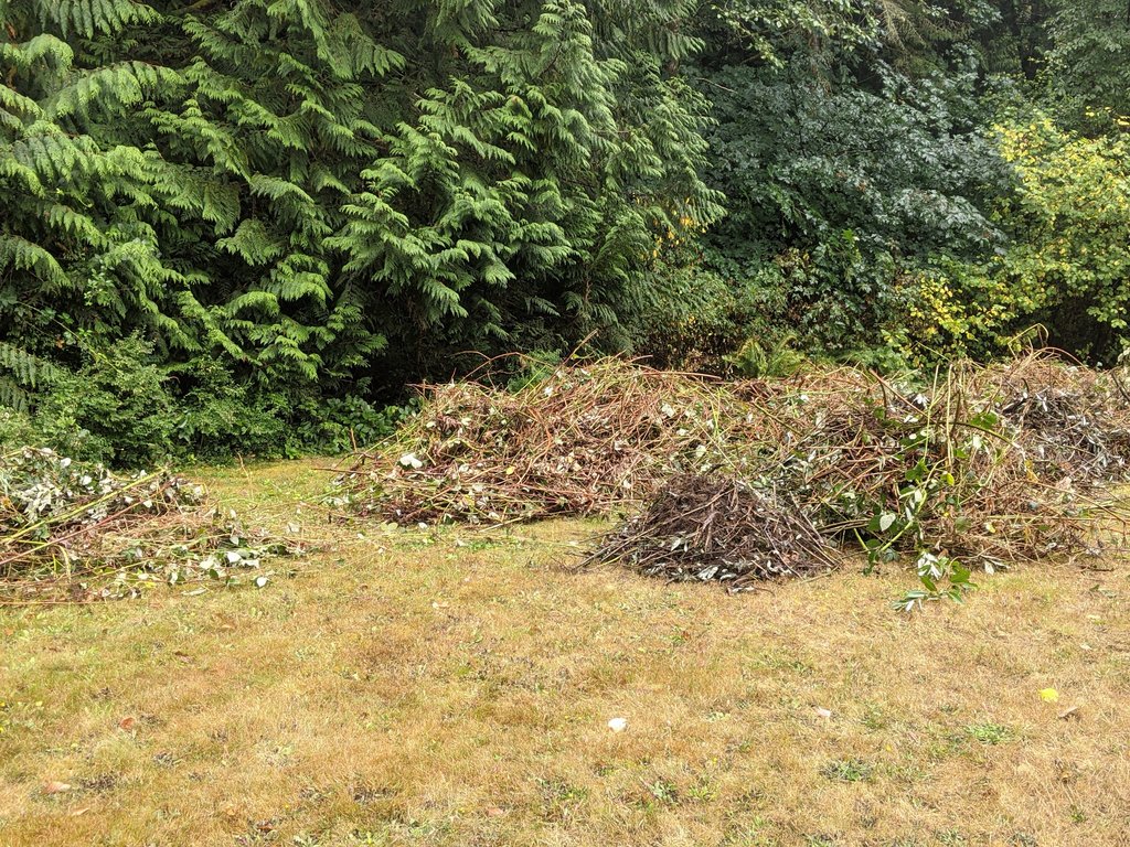 PXL-20210917-184555678.jpg