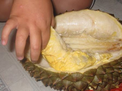 durian5.JPG