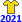 tdp_2021_yellow.png