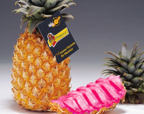 1481928553-pink-pineapple.jpg