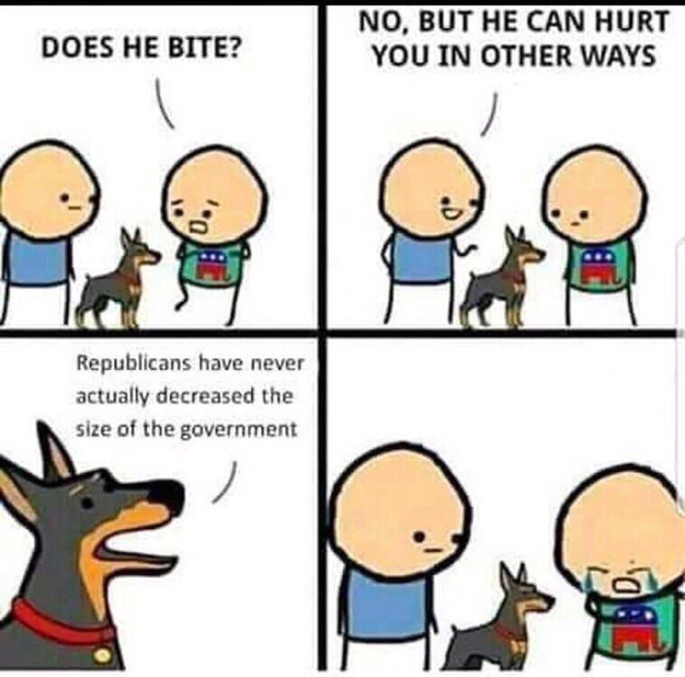 q4csyveis0w21.jpg