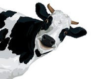 cow-funny-smiling-illustration-white-background-45692385.jpg