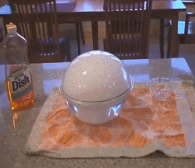 daily_gifdump_529_09.gif