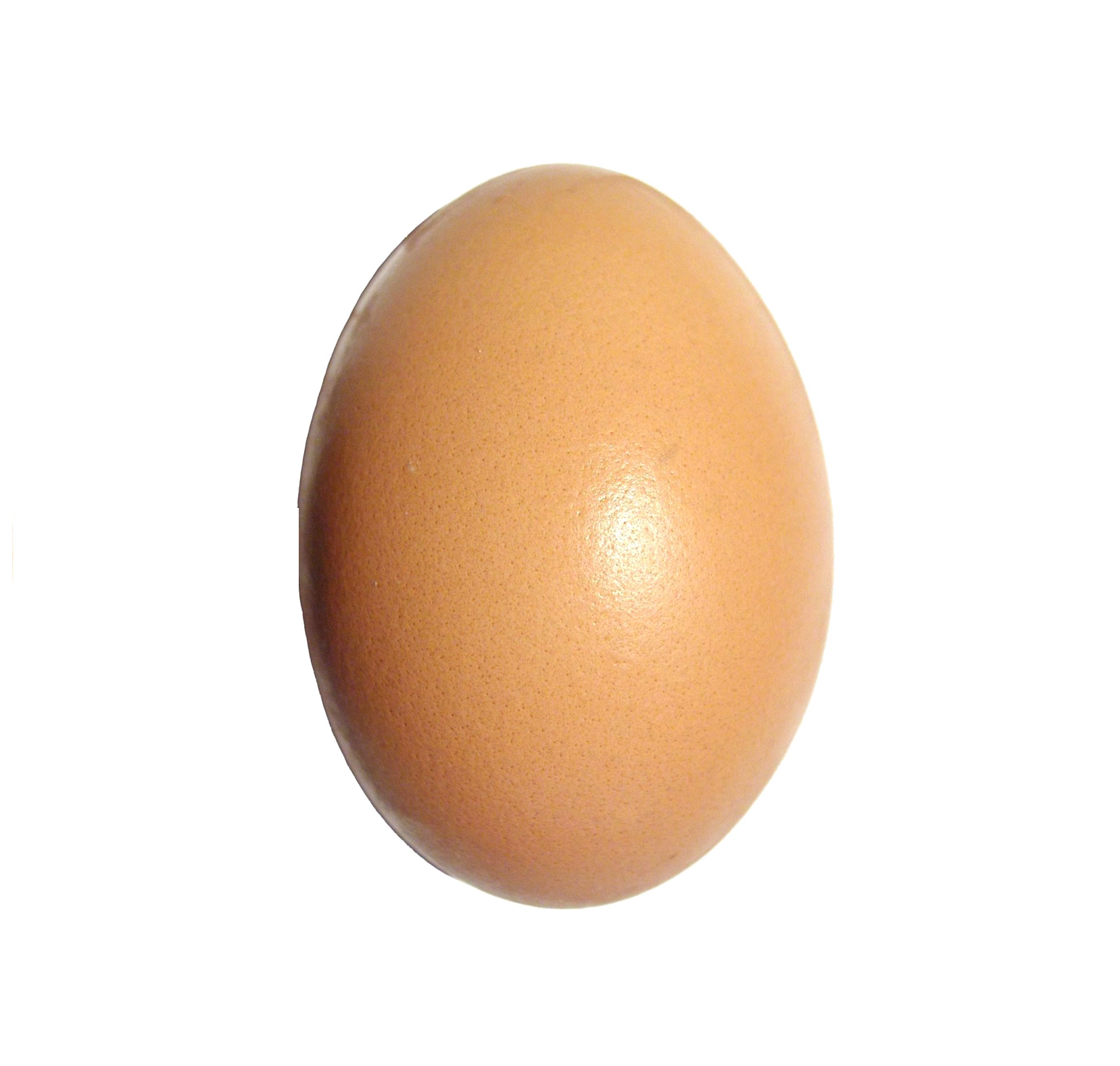 Egg_upright.jpg