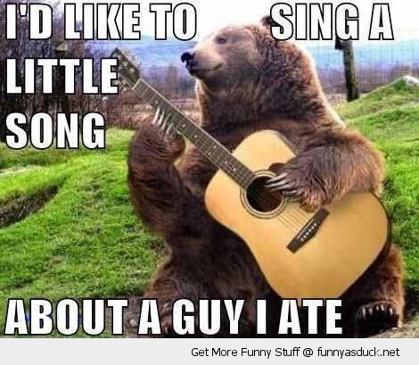 funny-bear-song-ate-guitar-singing-pics.jpg