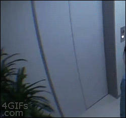 daily_gifdump_532_08.gif