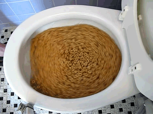 WillItFlush.gif