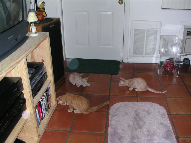 DSCN0321 (Medium).JPG