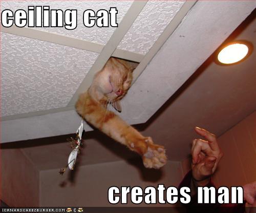 ceiling-cat2.jpg