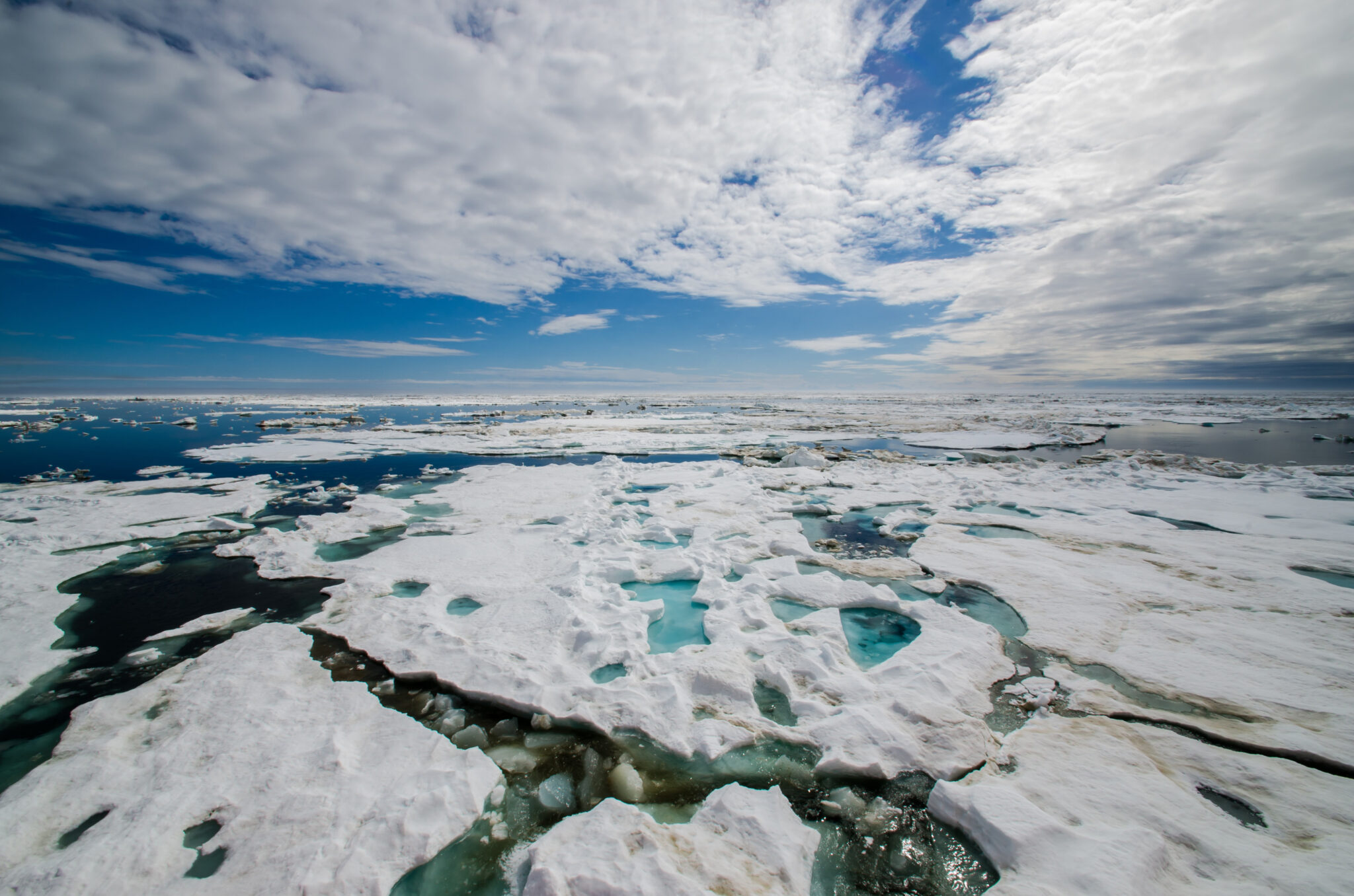 alaskabeacon.com