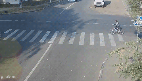 tumblr_nc6z4kiSGG1s2yegdo1_500.gif