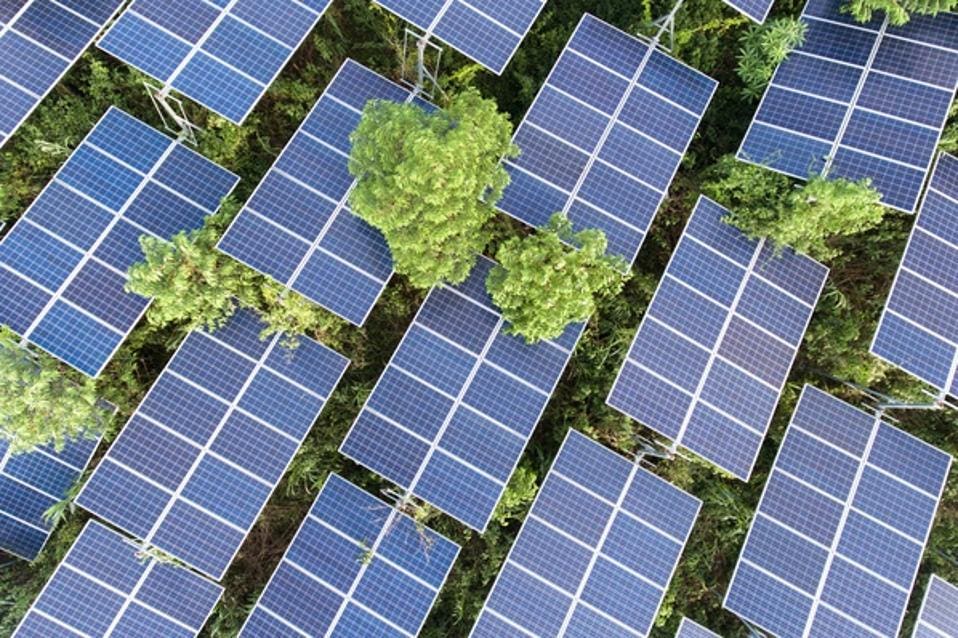 https%3A%2F%2Fspecials-images.forbesimg.com%2Fimageserve%2F604a84cb9488bb7a177e67ba%2FAerial-View-Of-Solar-Panels-On-Tree%2F960x0.jpg%3Ffit%3Dscale