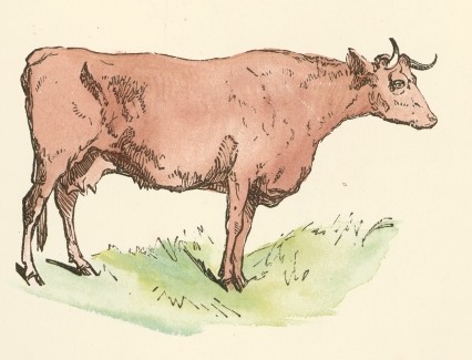 Brown_Cow_Drawing.jpg