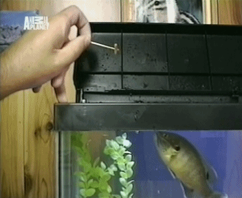 daily_gifdump_514_13.gif