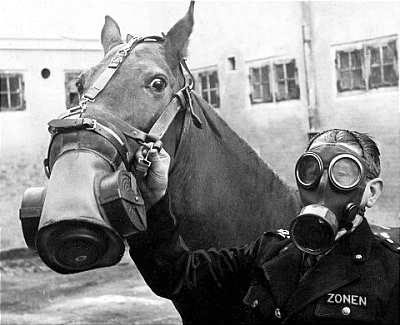 Gas-Mask.jpg